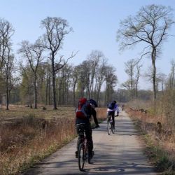 Olomoucký kraj posiluje cyklostezky: Investice 150 milionů přinesly 150 km tras