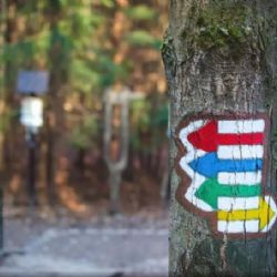 Jihočeský Klub českých turistů zahajuje turistickou sezónu tradičními akcemi