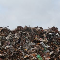 Fotopasti odhalují znečišťovatele u zahrádkářské kolonie