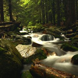 Nové cyklotrasy a Jeseníky lákají turisty