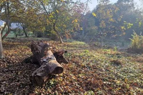 obrázek:Revitalizace Droždína: nové rekreační zázemí chrání přírodu i obyvatele