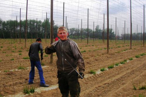 Foto: Zemědělští studenti z Českého Těšína na chmelnici