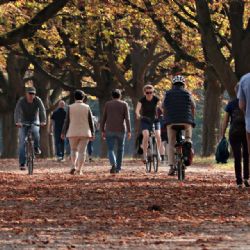 Olomouc podporuje zdravý pohyb, zapojuje se do kampaní na podporu aktivní mobility
